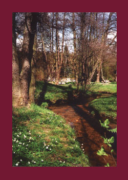 Historischer Kurpark Bad Brambach